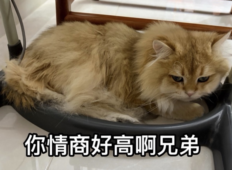 牛肉