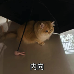 内向